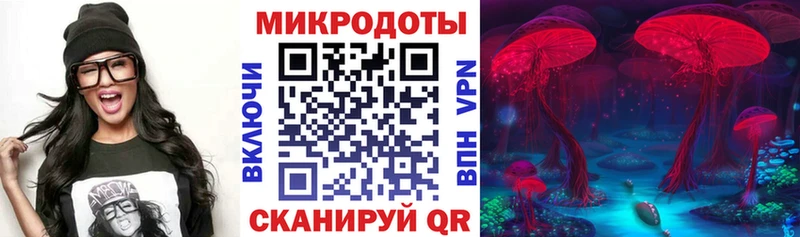 как найти   Ангарск  Галлюциногенные грибы Psilocybine cubensis 