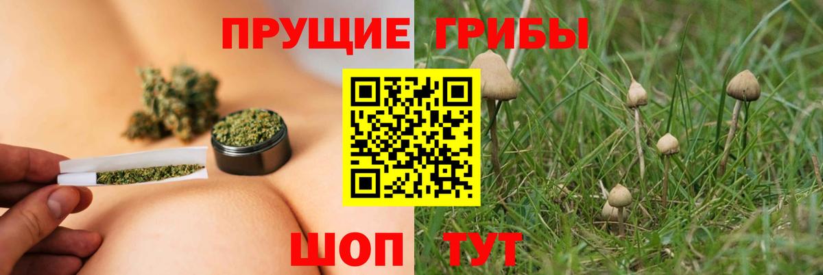 Ангарск  Галлюциногенные грибы Psilocybine cubensis  Вход с VPN  где купить   Галлюциногенные грибы Magic Shrooms 